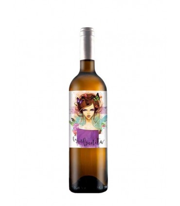 La Más Bonita 2016 Blanco La Más Bonita 2016 Blanco